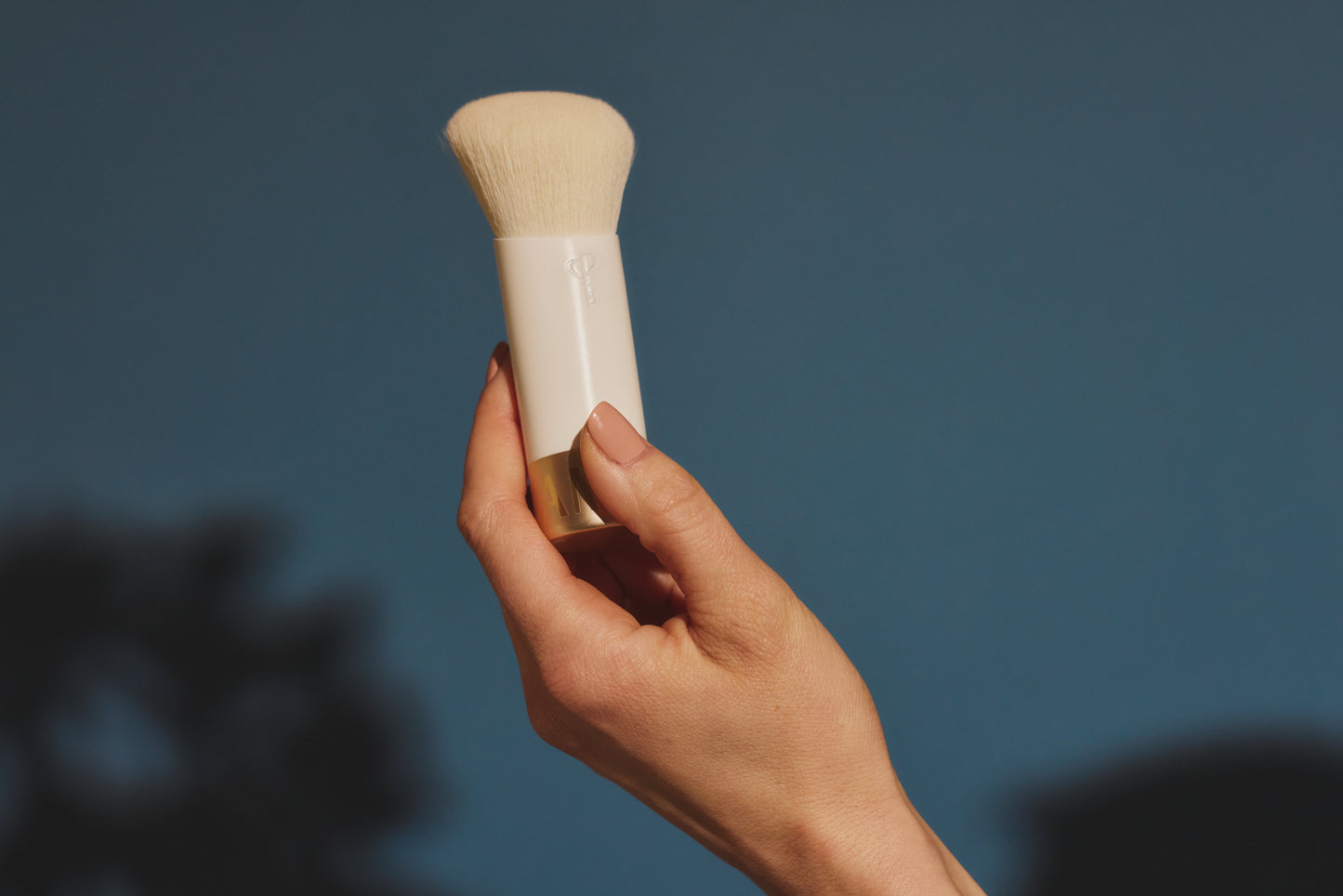 Satin Powder Face Brush