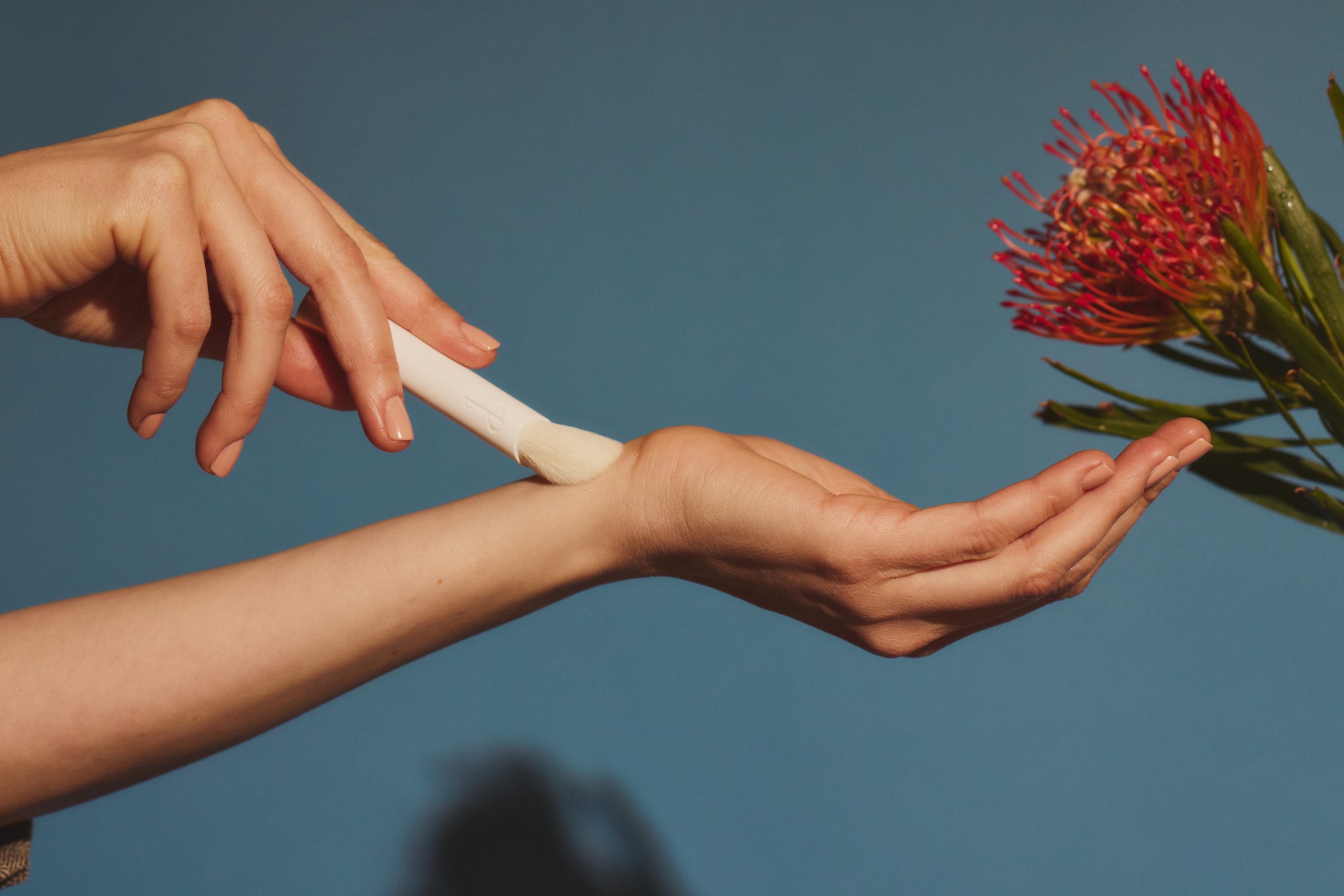 White makeup brush held in one hand with caressing motion along other hand's wrist, pictured with red flower on blue background.