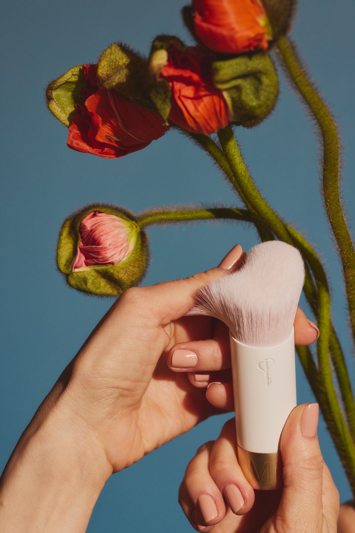 White makeup brush with light pink bristles held in two hands with thumb caressing top of brush bristles along side red and green flowers on blue background.